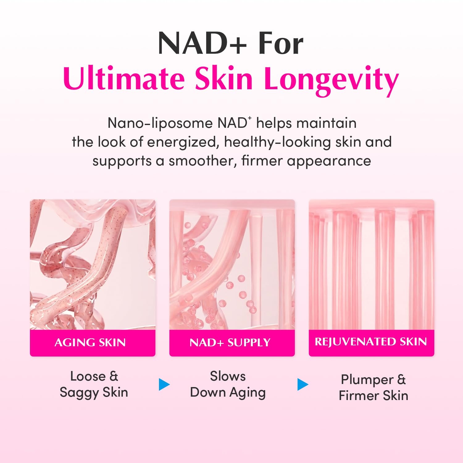 image:imageEQQUALBERRY NAD Peptide Boosting Cream NAD 5 amp 13 Peptides AntiAging Korean Skincare Face amp Body Cream Firming amp Lifting Pink Neck Cream for Sagging Skin 169 floz 50mlSingle Pack