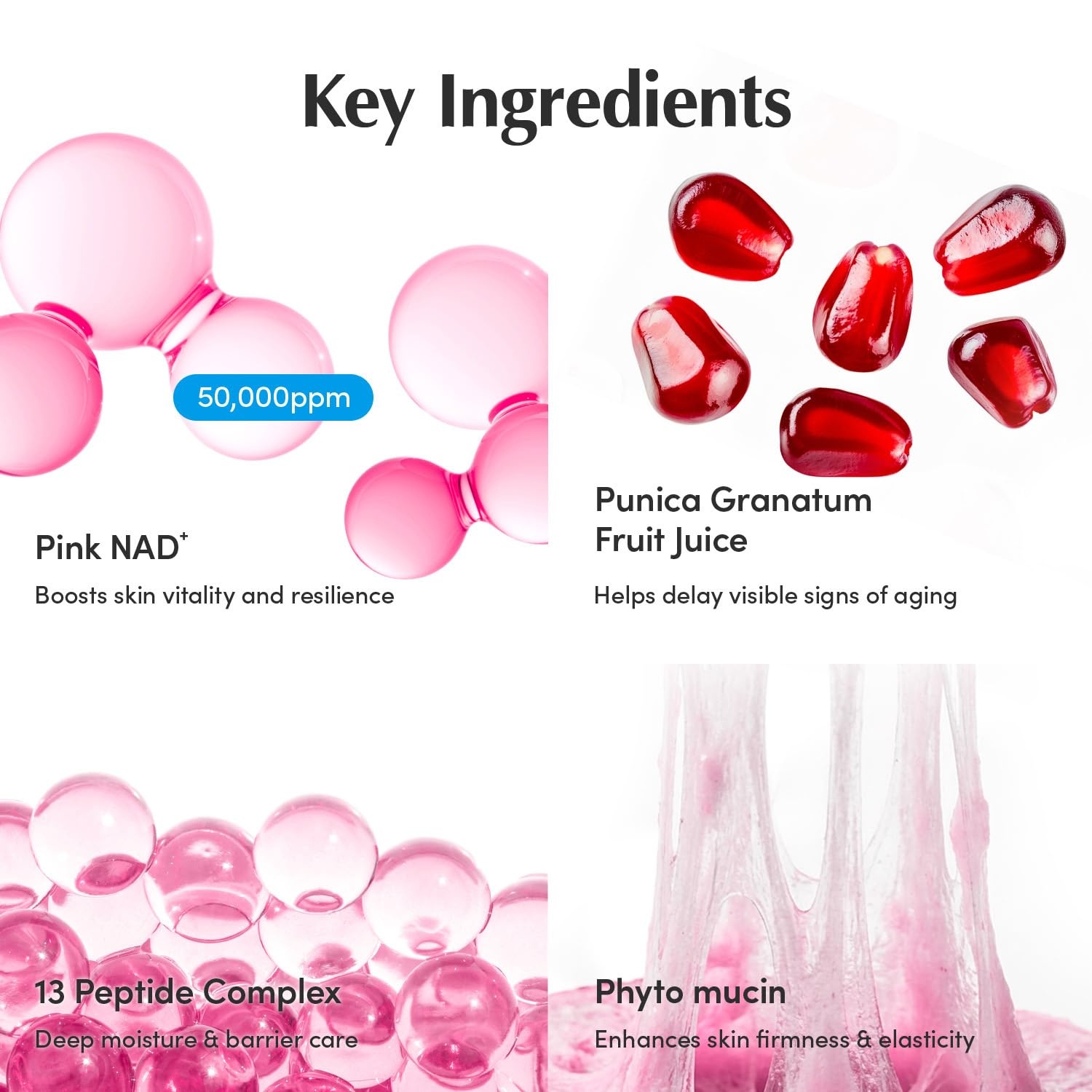 image:imageEQQUALBERRY NAD Peptide Boosting Cream NAD 5 amp 13 Peptides AntiAging Korean Skincare Face amp Body Cream Firming amp Lifting Pink Neck Cream for Sagging Skin 169 floz 50mlSingle Pack