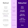 EQQUALBERRY Bakuchiol Plumping Face Serum – Retinol Natural Alternative for Sensitive Skin, with Niacinamide & Hyaluronic Acid, Pore & Wrinkle Korean Skin Care (1.01oz / 30ml)