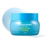 EQQUALBERRY HYALTOIN Flooding Cream | 5% Hyaluronic Acid & Ectoin, 10% Glacier Water | Quick Cooling Gel Moisturizer: Hydration, Barrier Repair & Redness Relief | Korean Skincare (1.69 fl.oz / 50ml)